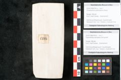 Foto (Objekt + Etikett) von Glyptostrobus europaeus Brongniarti (NHMW-GEO-2024-0188-8195b)
